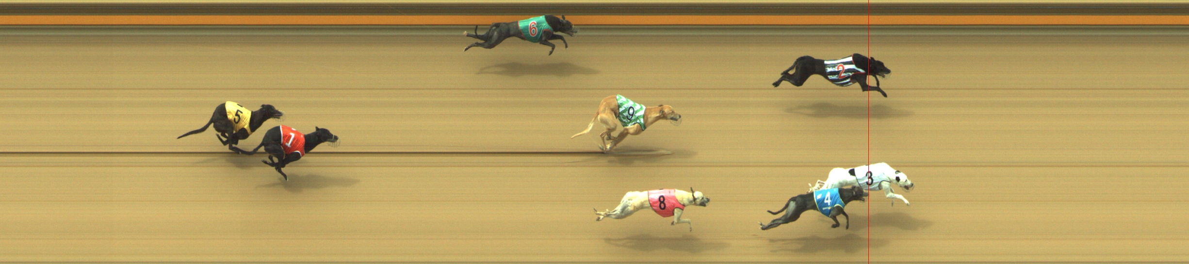 Photo finish for Geelong Race 4