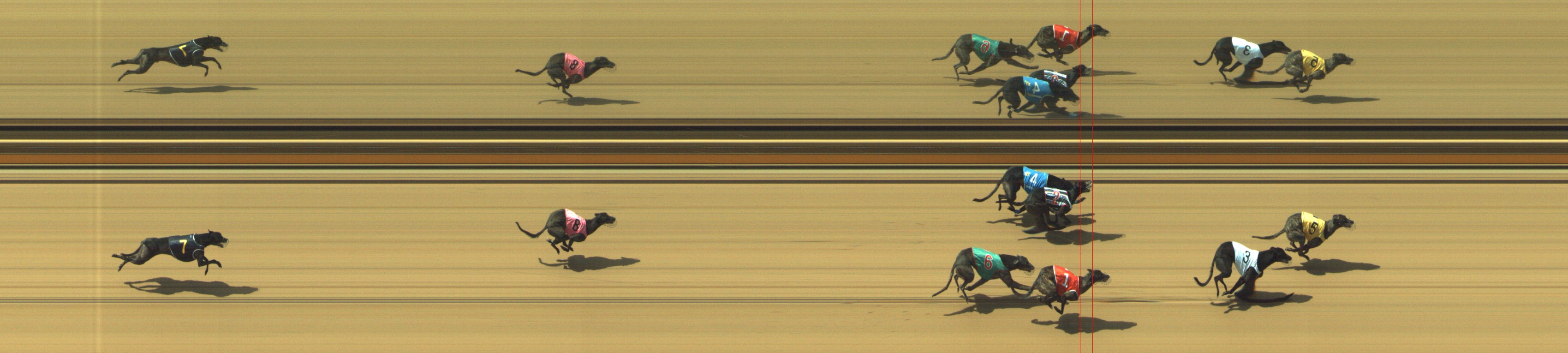 Photo finish for Geelong Race 5