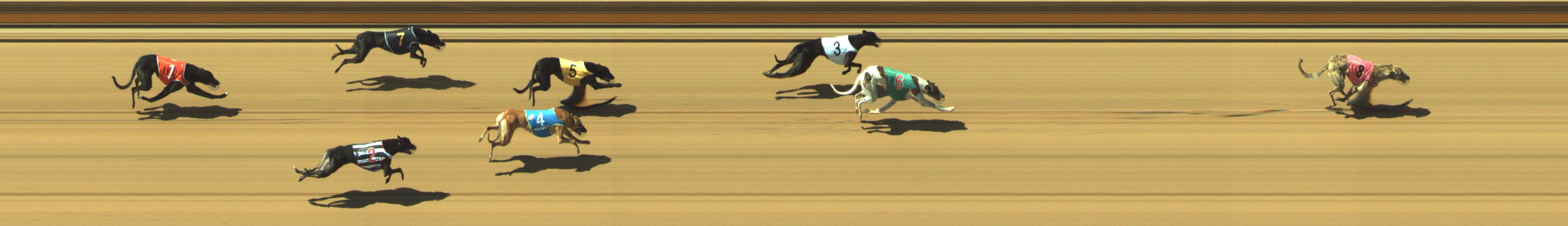 Photo finish for Geelong Race 6