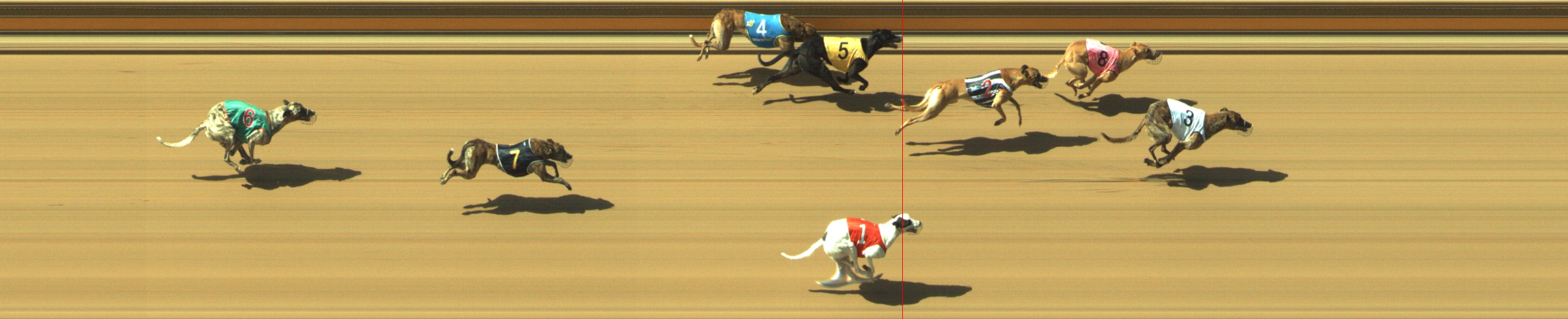 Photo finish for Geelong Race 7