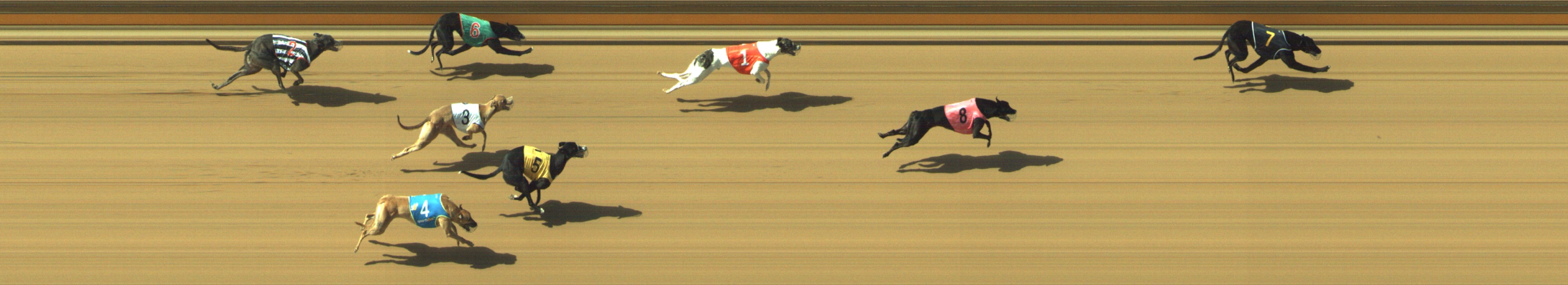 Photo finish for Geelong Race 8