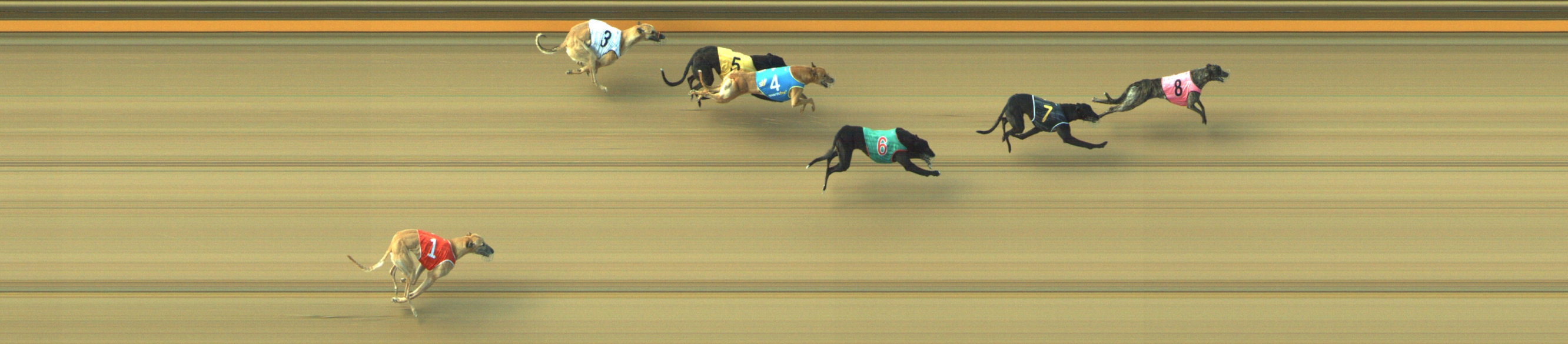 Photo finish for Geelong Race 10
