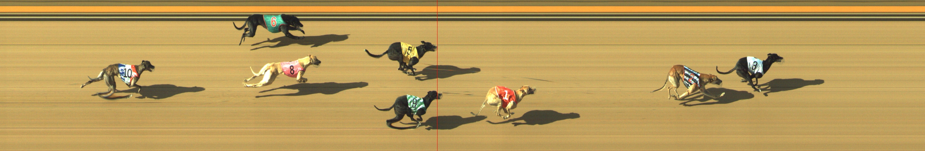 Photo finish for Geelong Race 12