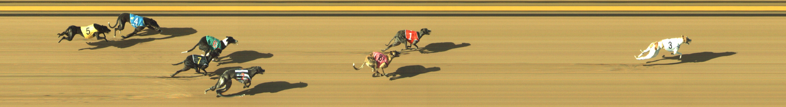 Photo finish for Geelong Race 13