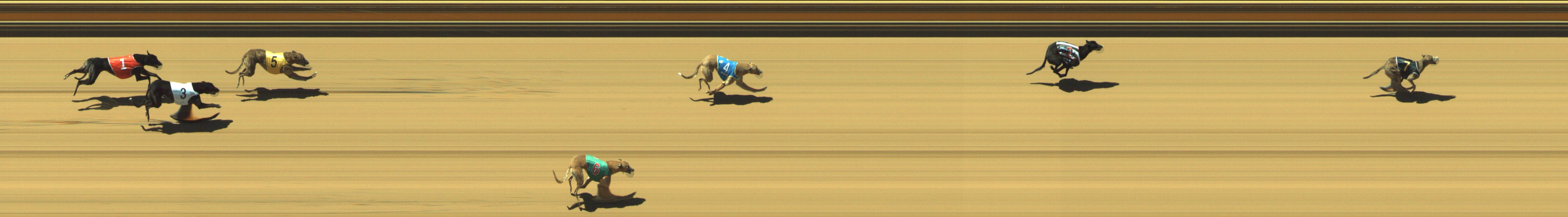 Photo finish for Geelong Race 2