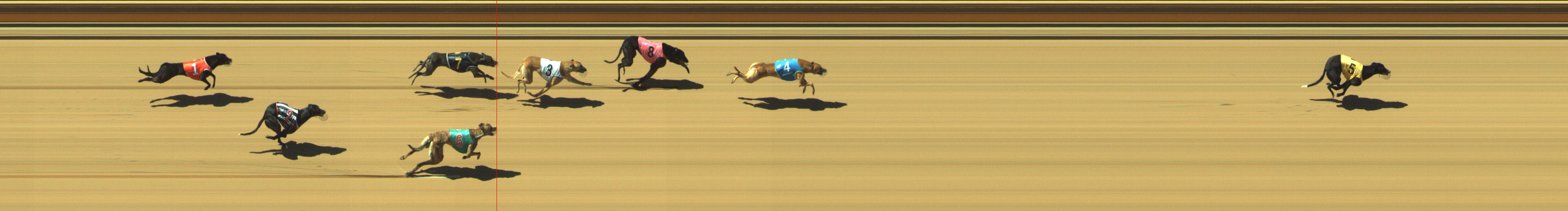 Photo finish for Geelong Race 3