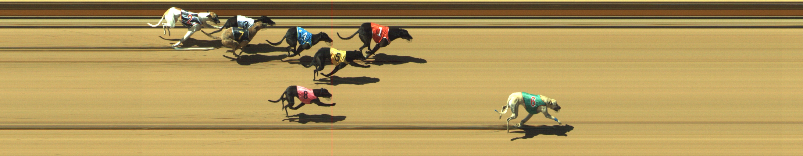 Photo finish for Geelong Race 4