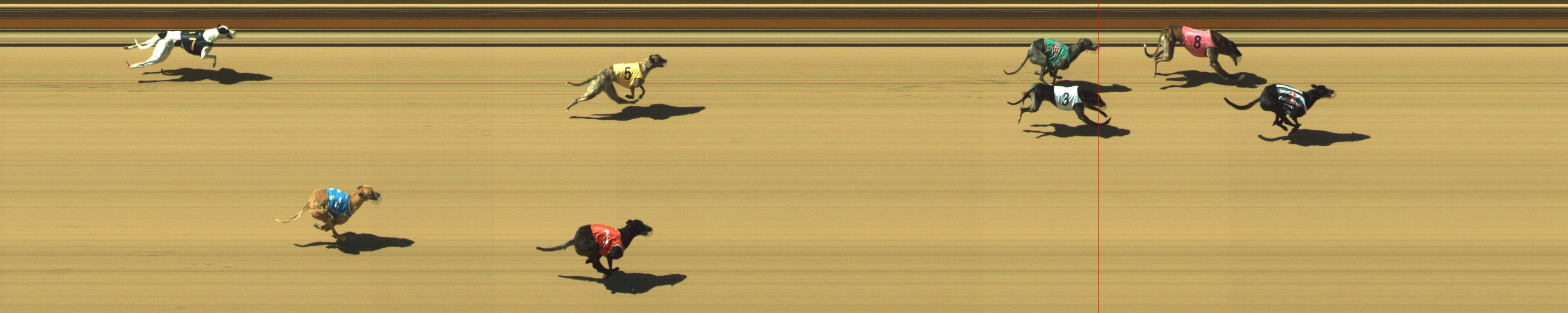 Photo finish for Geelong Race 5