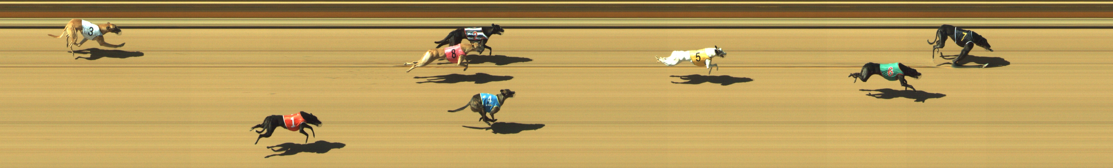 Photo finish for Geelong Race 6