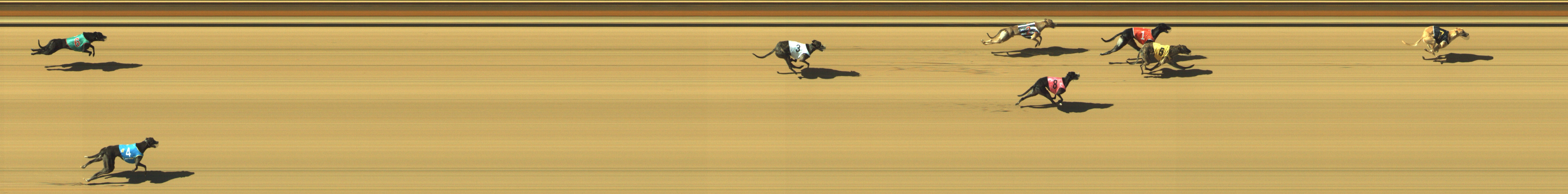 Photo finish for Geelong Race 7
