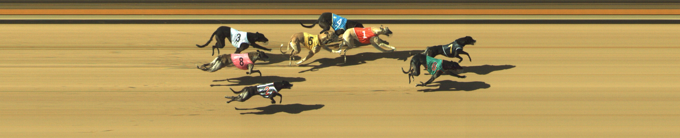 Photo finish for Geelong Race 8