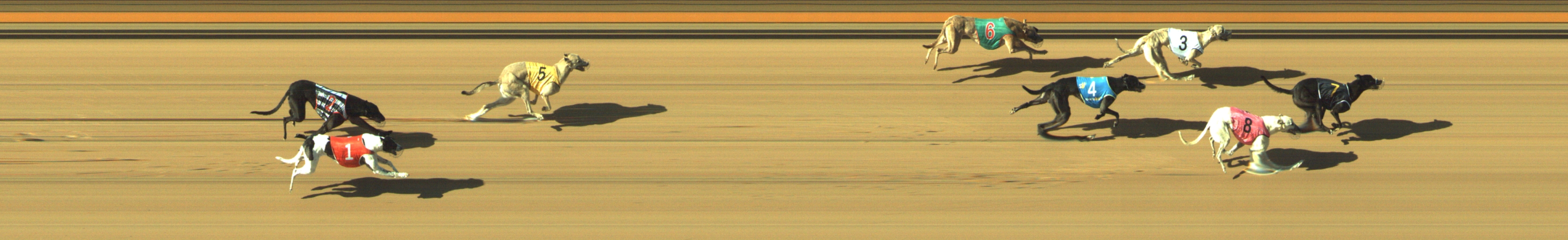 Photo finish for Geelong Race 9