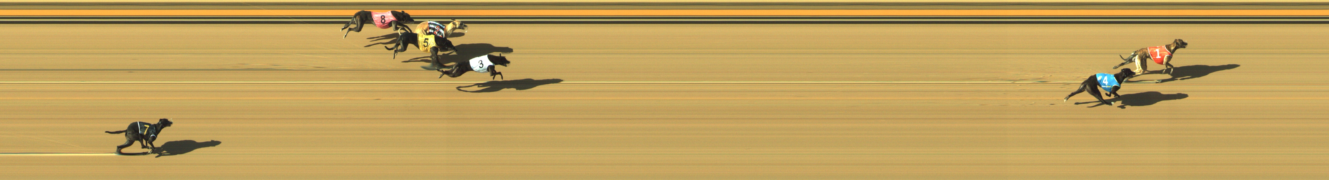 Photo finish for Geelong Race 10