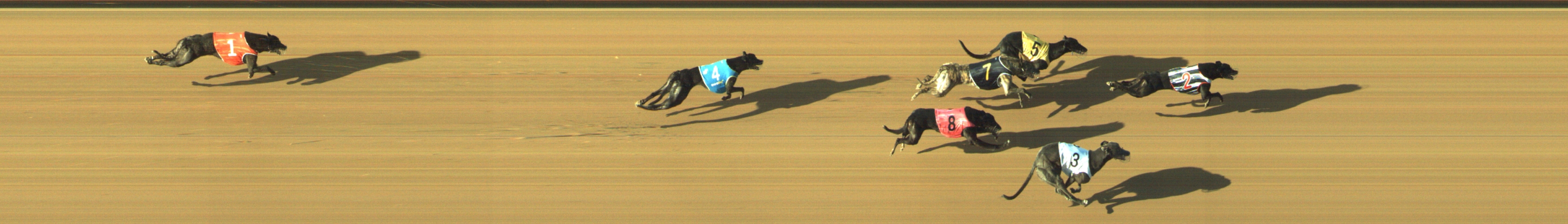 Photo finish for Geelong Race 12