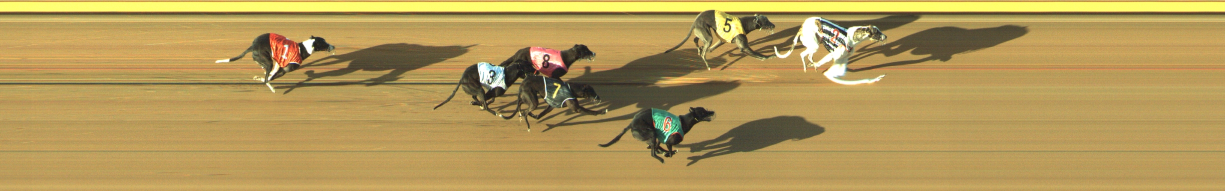Photo finish for Geelong Race 13