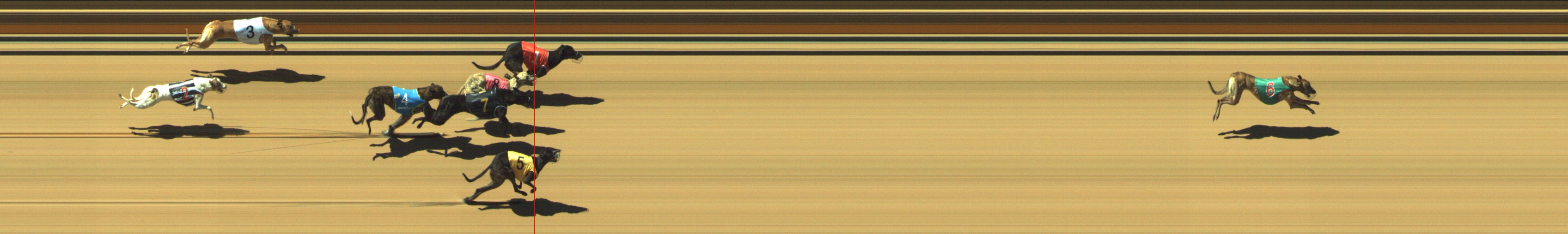 Photo finish for Geelong Race 2