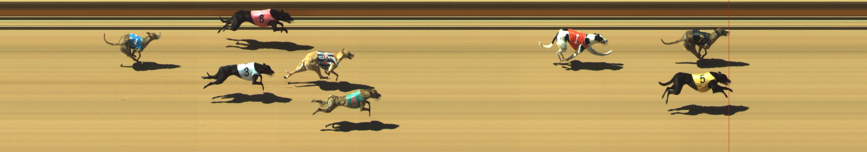 Photo finish for Geelong Race 3