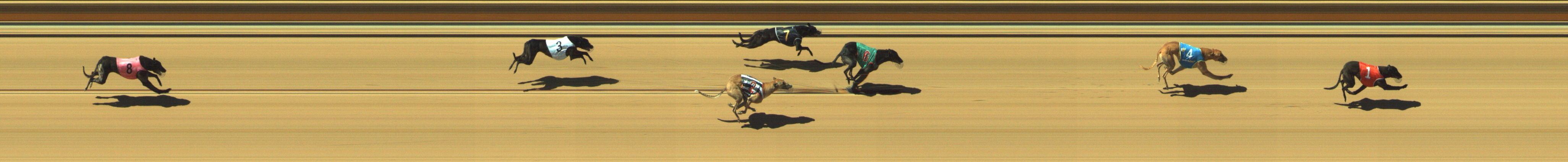 Photo finish for Geelong Race 4