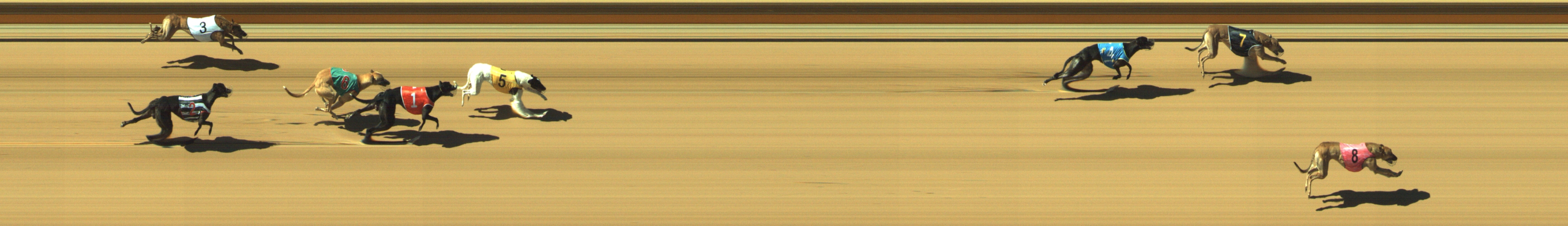 Photo finish for Geelong Race 5