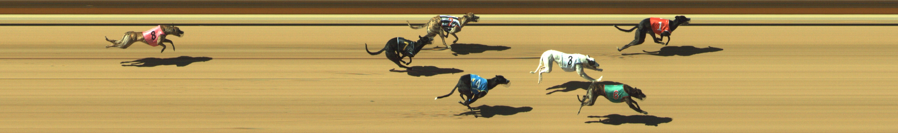 Photo finish for Geelong Race 6