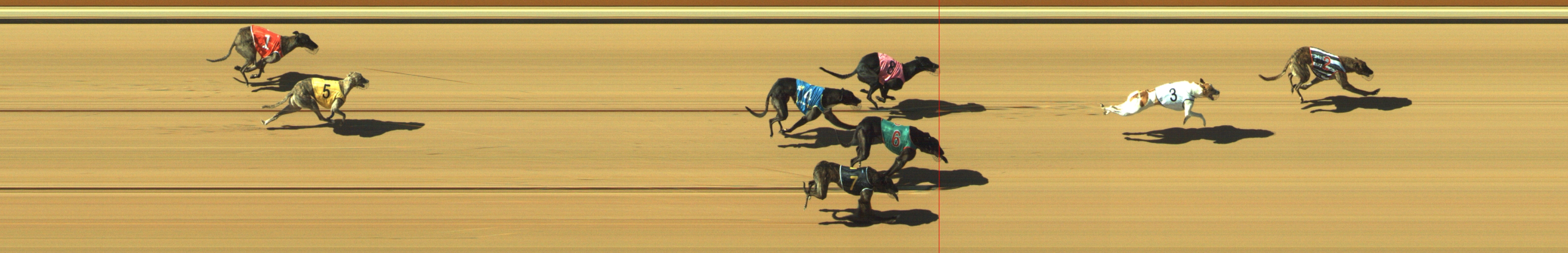Photo finish for Geelong Race 7