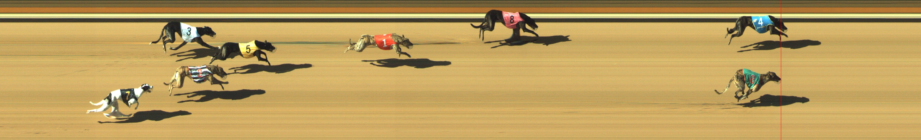 Photo finish for Geelong Race 8