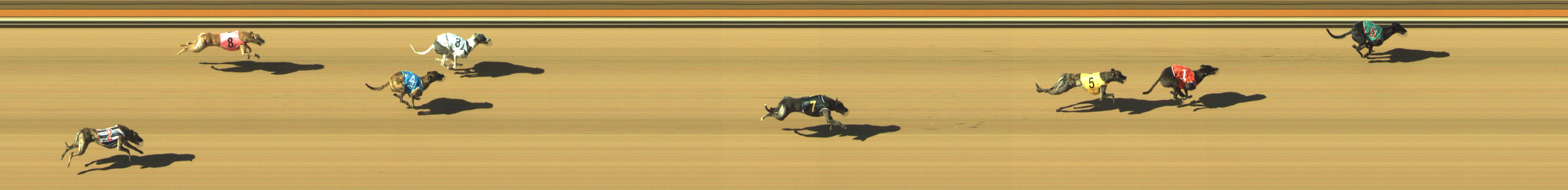 Photo finish for Geelong Race 9