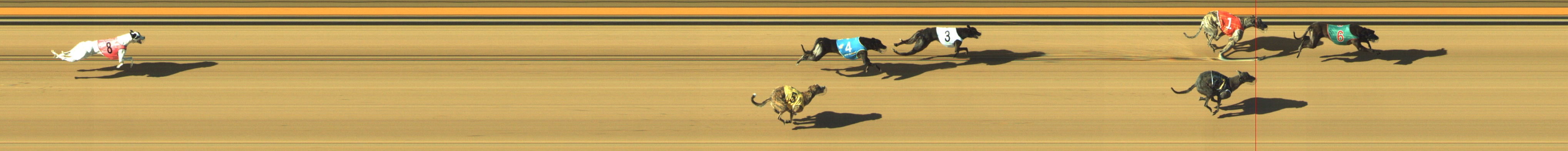 Photo finish for Geelong Race 10