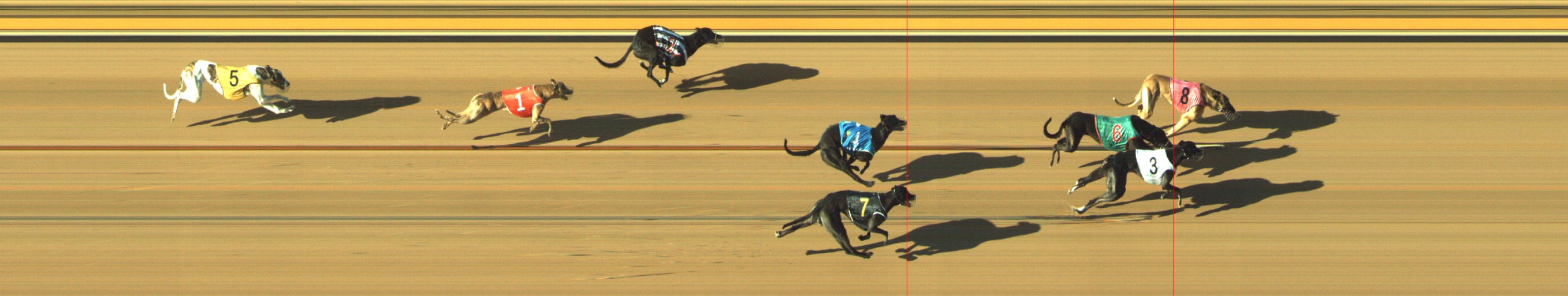 Photo finish for Geelong Race 11