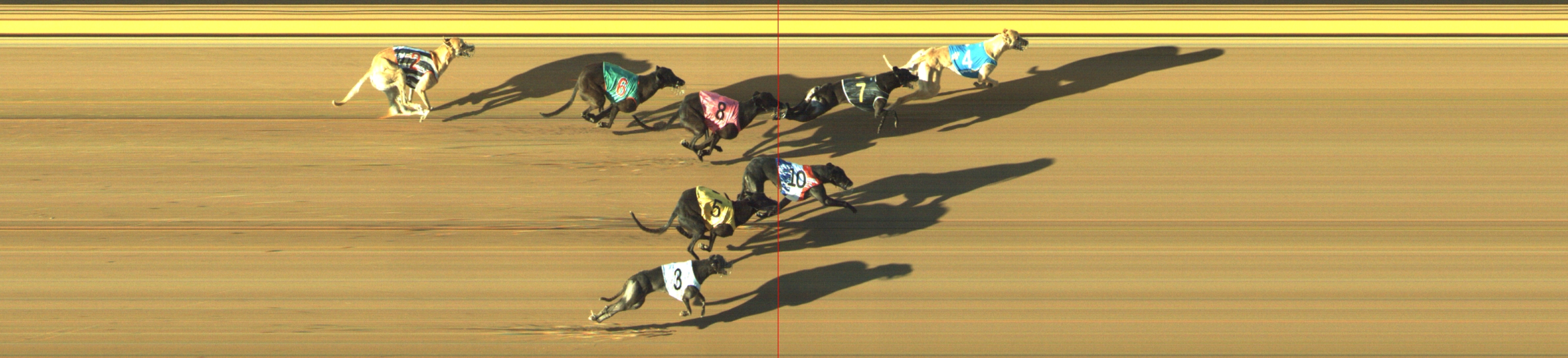 Photo finish for Geelong Race 13