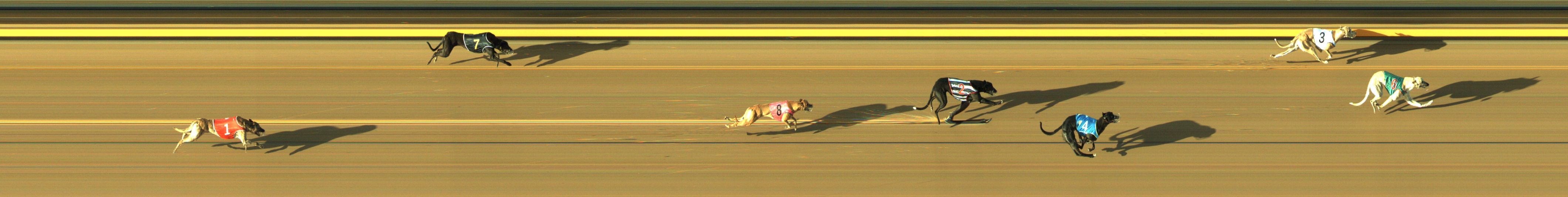 Photo finish for Geelong Race 2