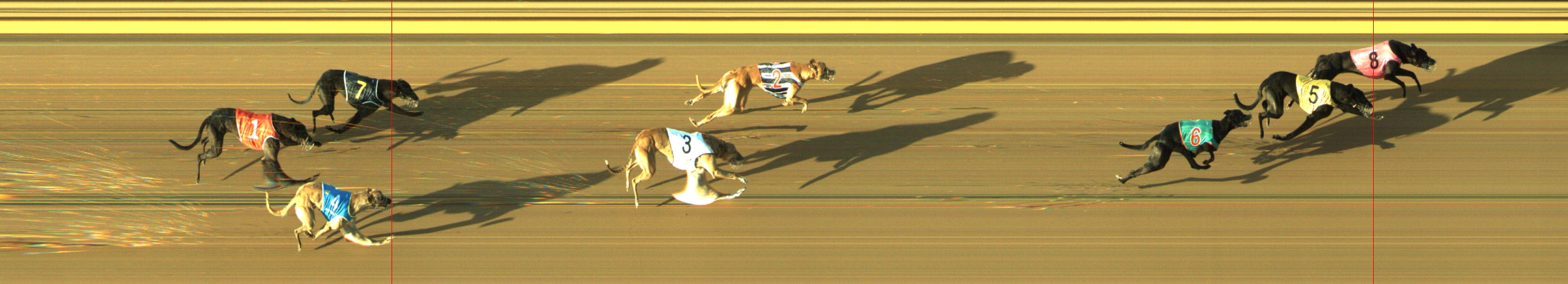 Photo finish for Geelong Race 3