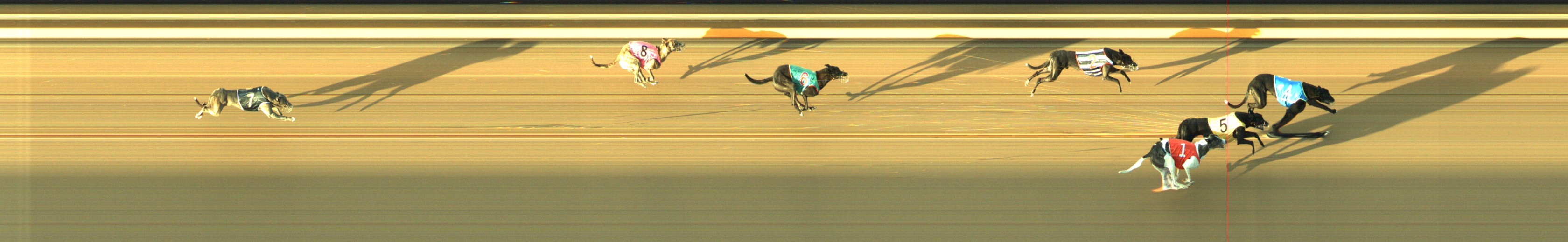 Photo finish for Geelong Race 4