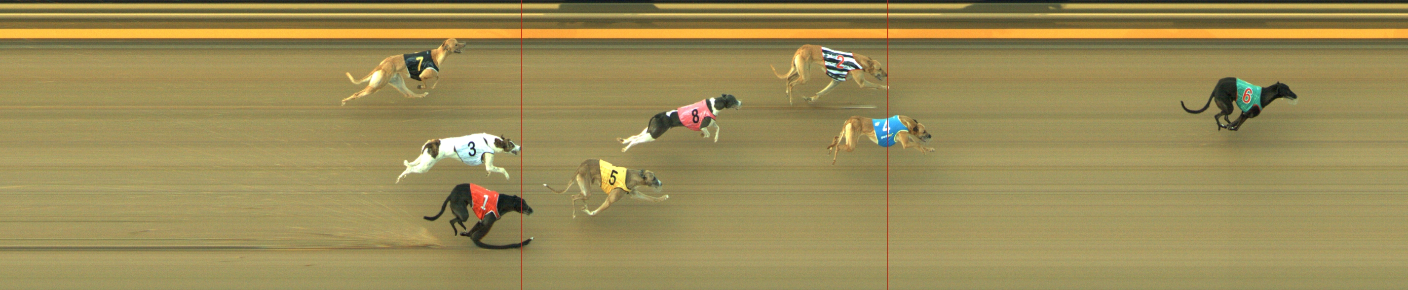 Photo finish for Geelong Race 5