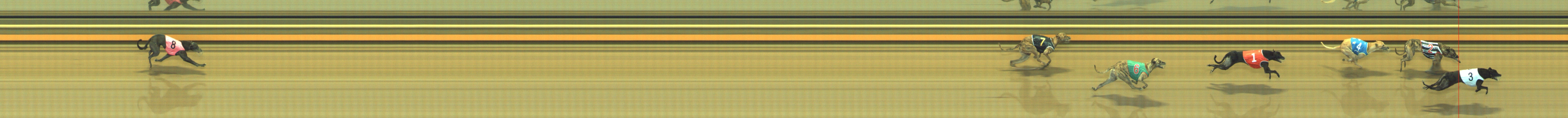 Photo finish for Geelong Race 6