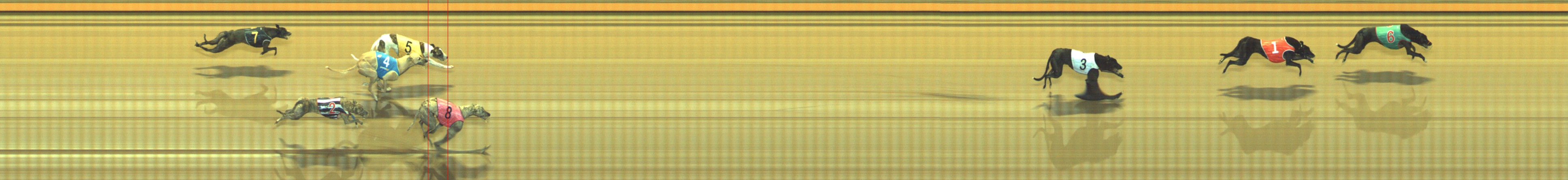 Photo finish for Geelong Race 7