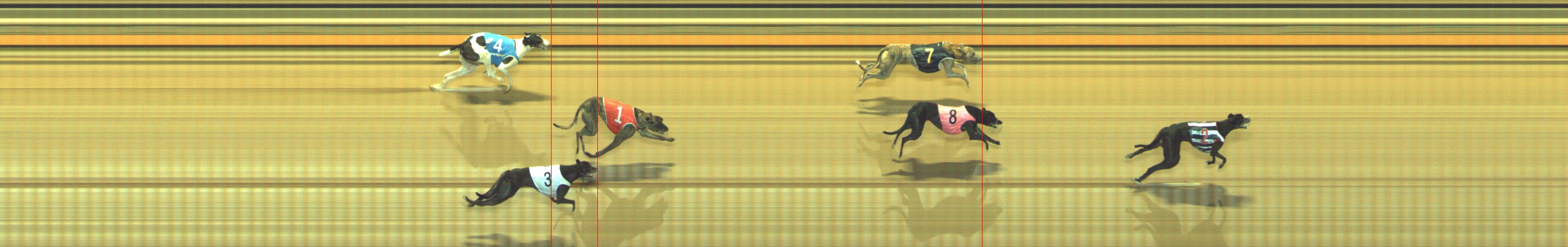 Photo finish for Geelong Race 8
