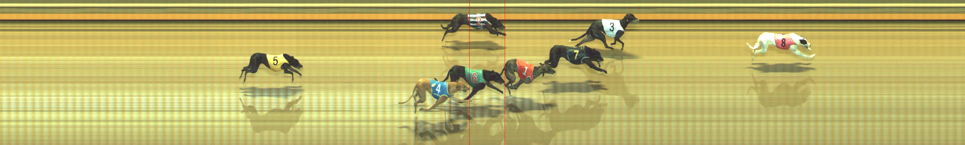 Photo finish for Geelong Race 9