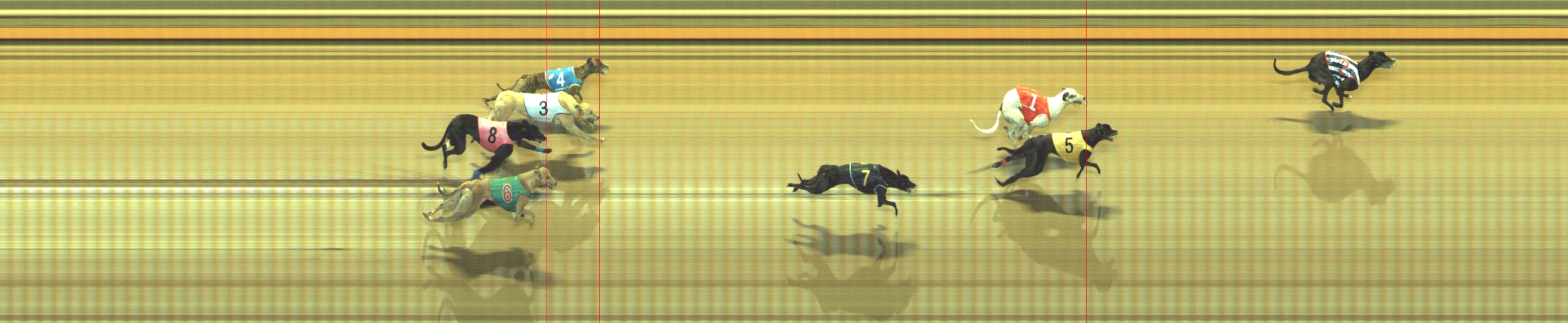 Photo finish for Geelong Race 10