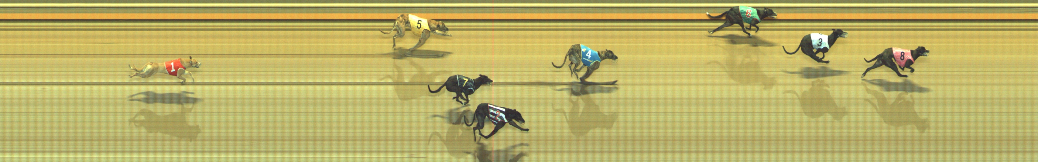 Photo finish for Geelong Race 11