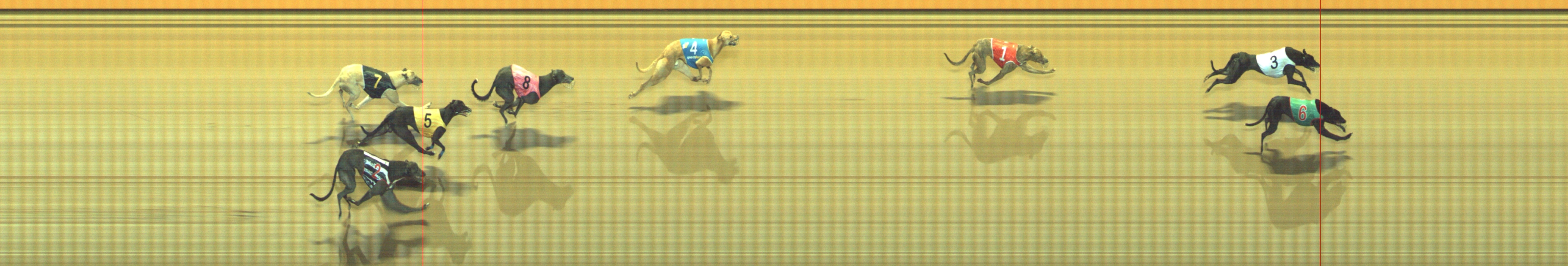 Photo finish for Geelong Race 12