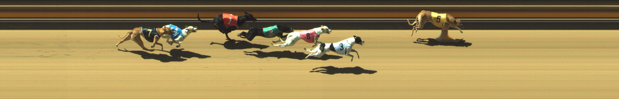 Photo finish for Geelong Race 2