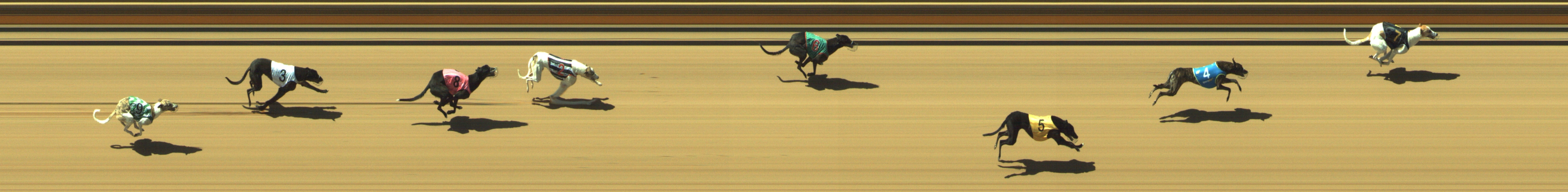 Photo finish for Geelong Race 3