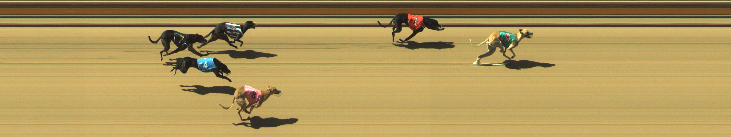 Photo finish for Geelong Race 4
