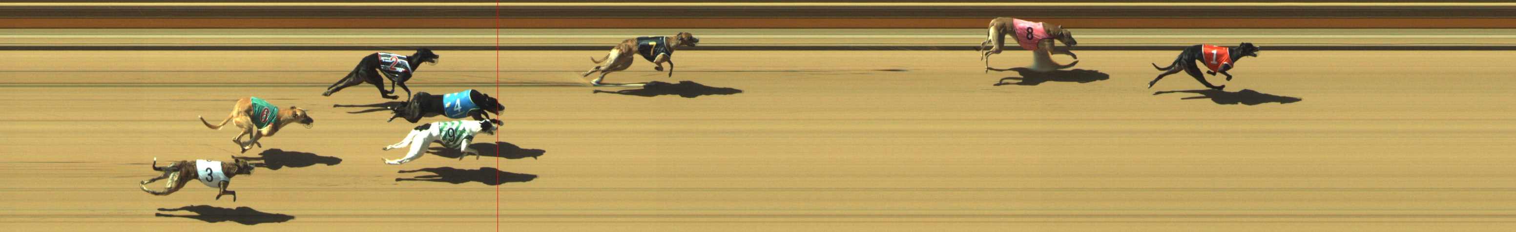 Photo finish for Geelong Race 5