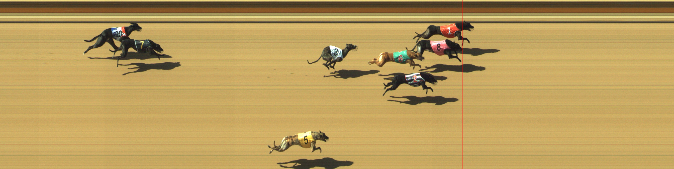 Photo finish for Geelong Race 6
