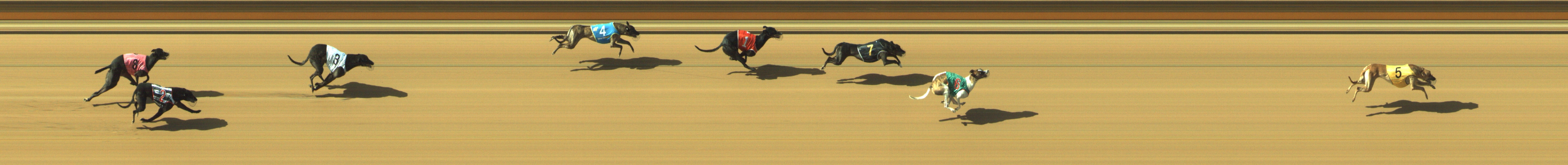 Photo finish for Geelong Race 7