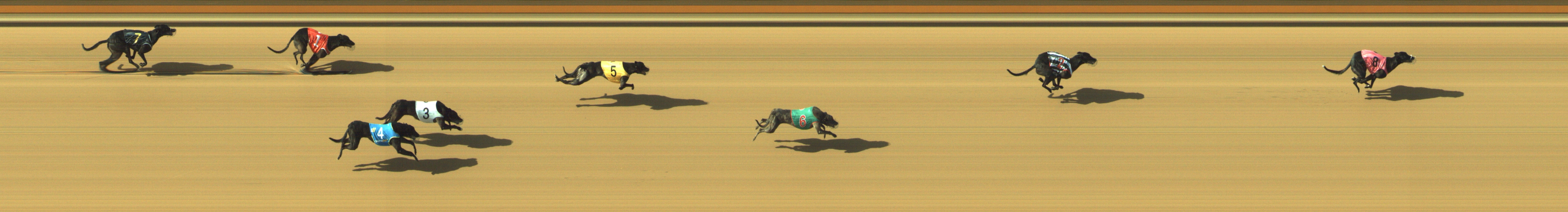 Photo finish for Geelong Race 8
