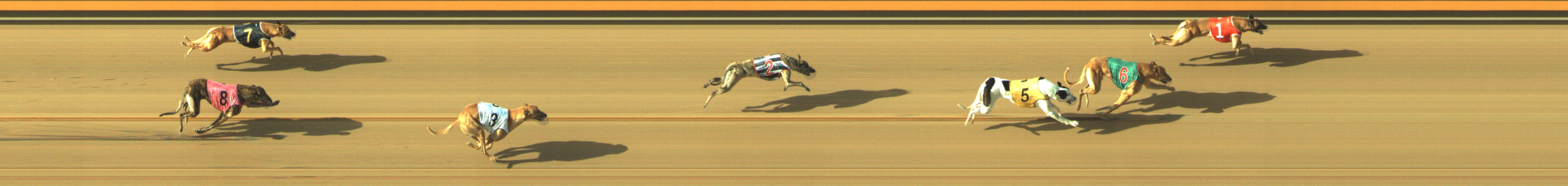 Photo finish for Geelong Race 10