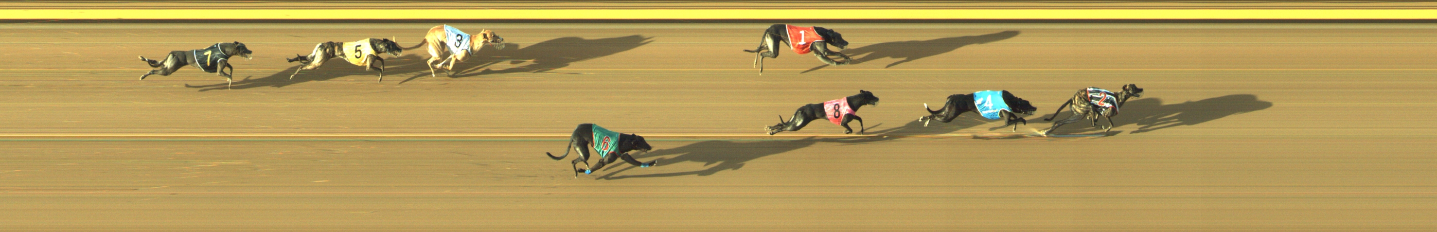 Photo finish for Geelong Race 12
